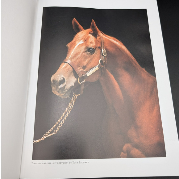Champions Lives Times Past Performances Americas Greatest Thoroughbreds 4th Ed - Picture 12 of 13